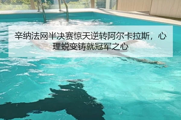 xin-na-fa-wang-ban-jue-sai-jing-tian-ni-zhuan-a-er-ka-la-si-xin-li-tui-bian-zhu-jiu-guan-jun-zhi-xin-2-116.jpg